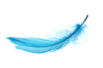 blue_feather